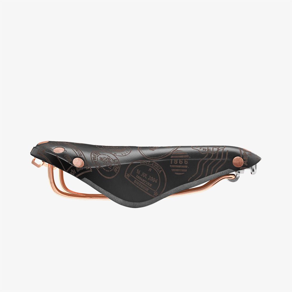 B17 Special Brooks Lab